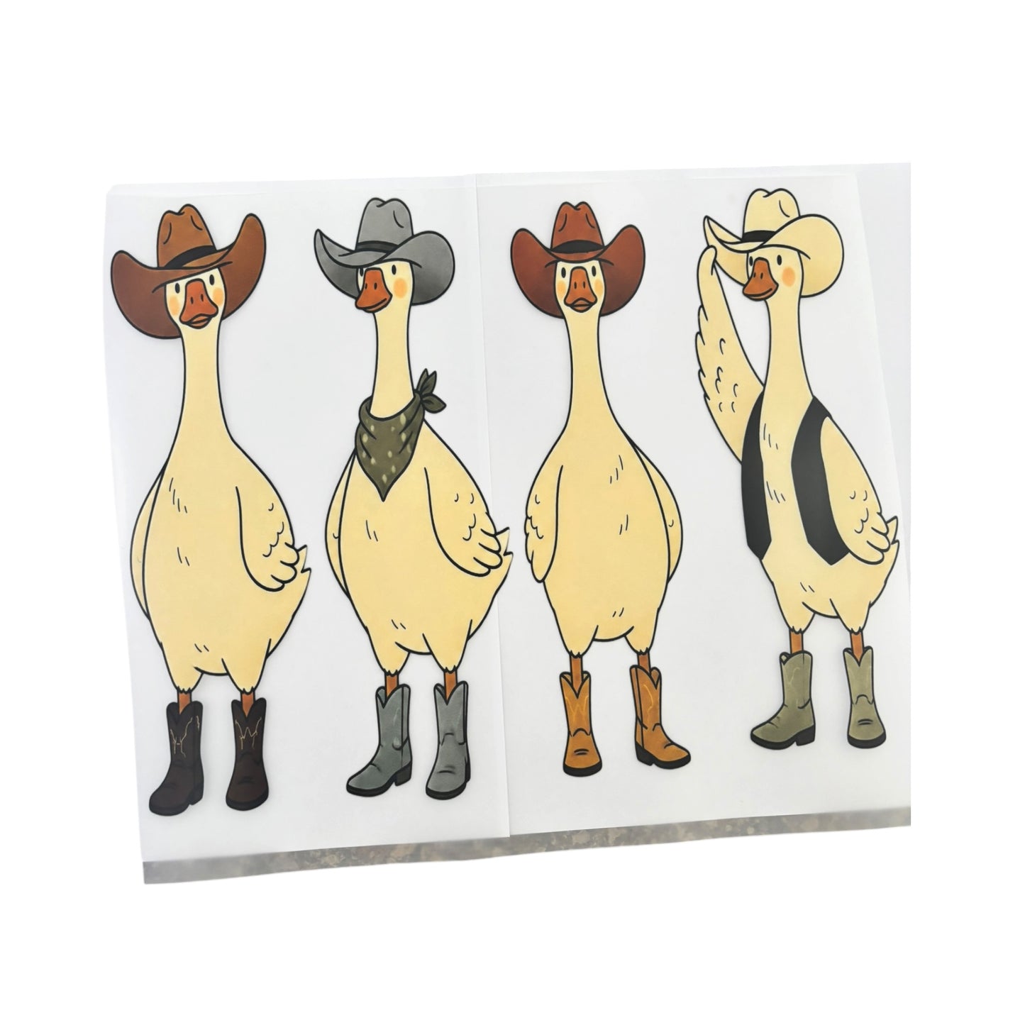 #121 Western Geese
