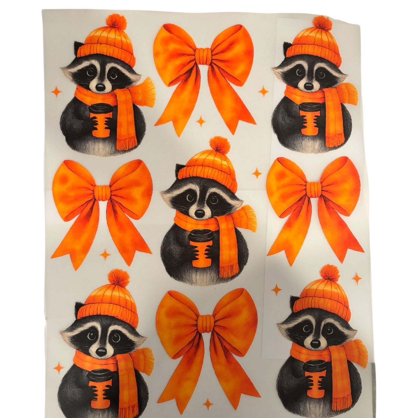 #120 Racoons