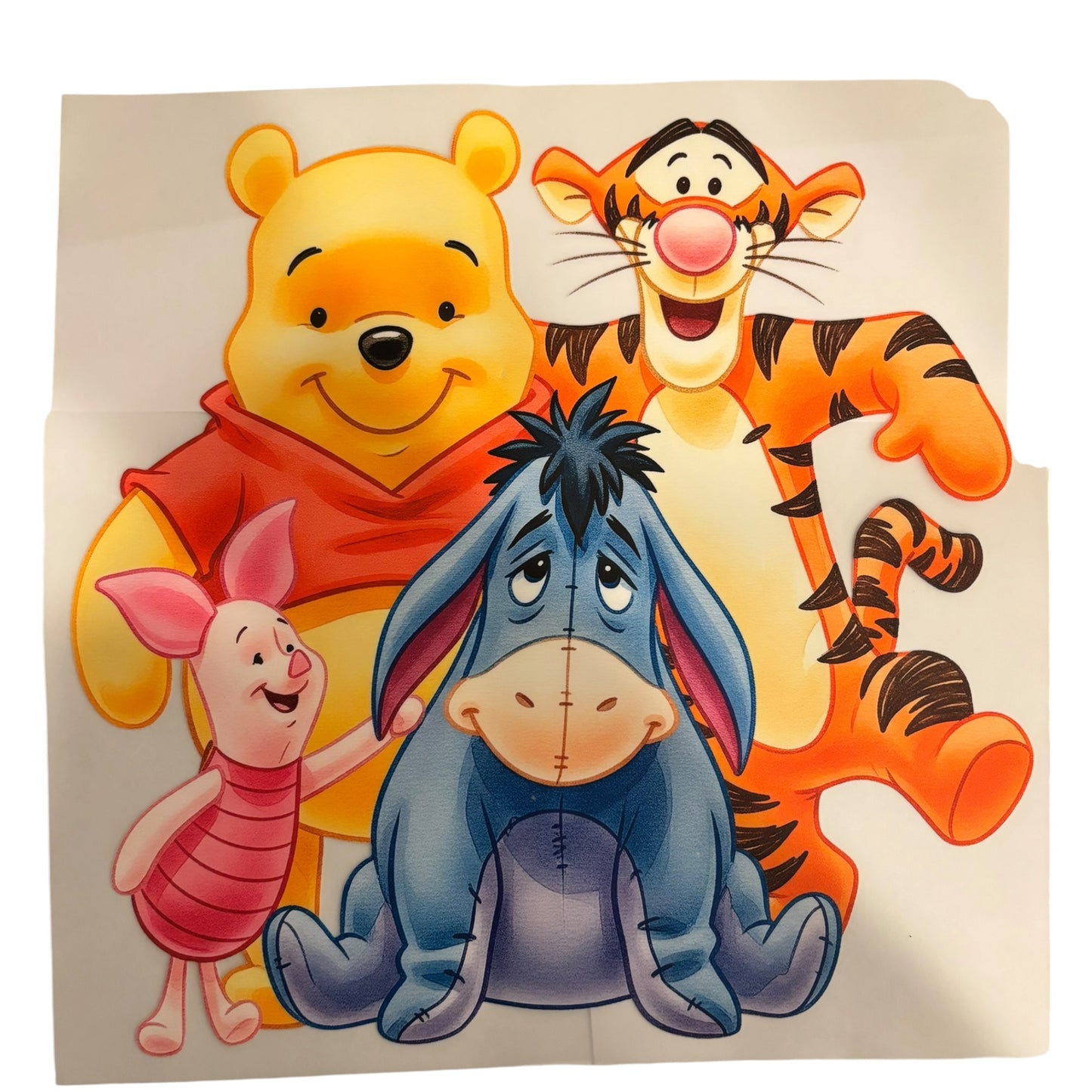 #63 Bear Print