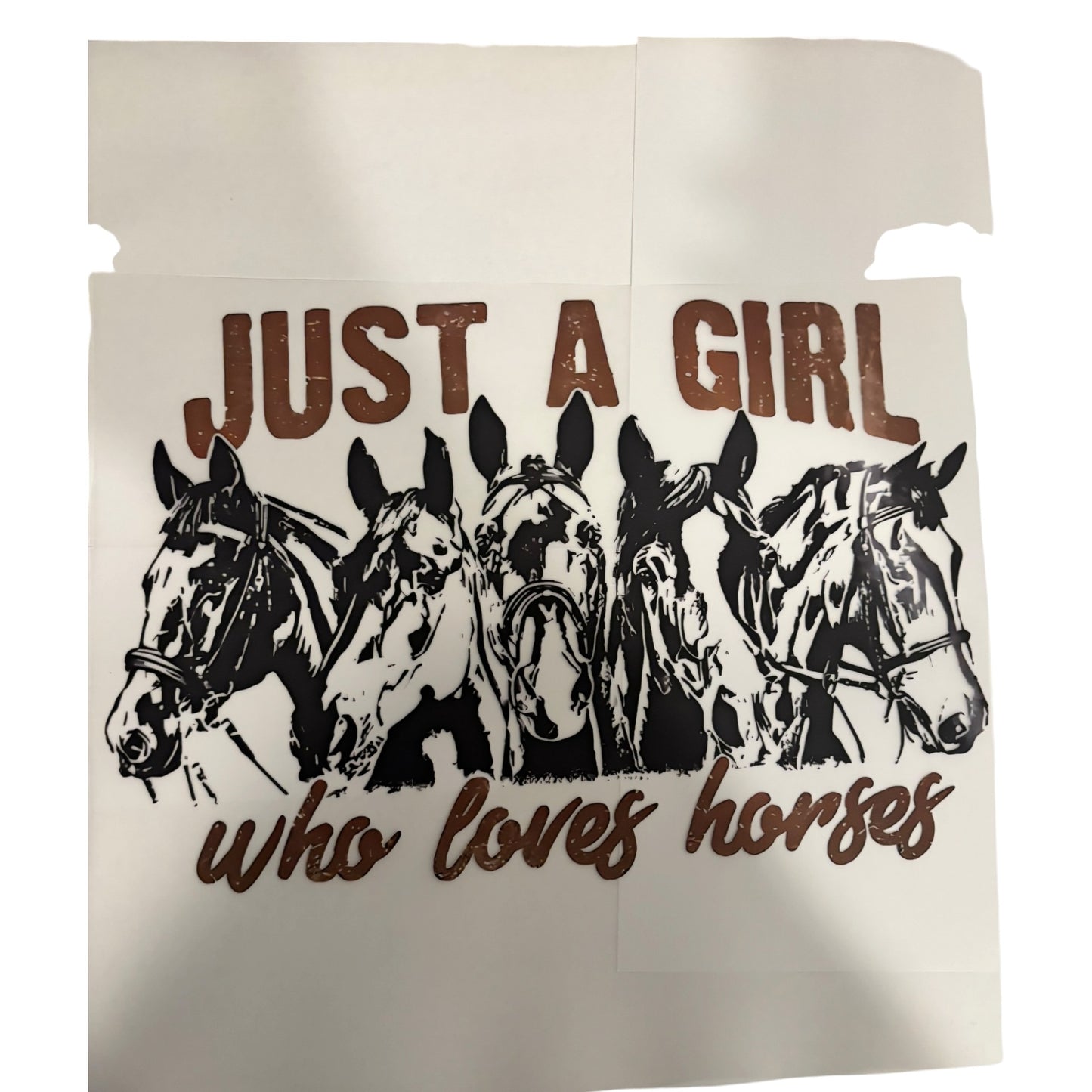 #120 Just a Girl Who Loves Horses